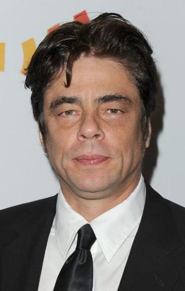 Next photo of Benicio Del Toro