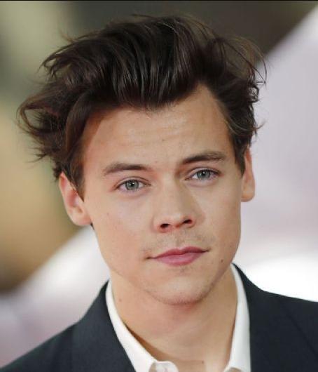 Harry Styles Death Fact Check, Birthday & Age | Dead or Kicking