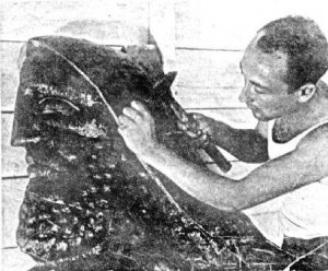 Maurice Ascalon
