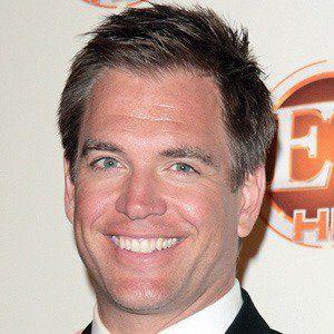 Michael Weatherly Death Fact Check, Birthday & Age | Dead or Kicking