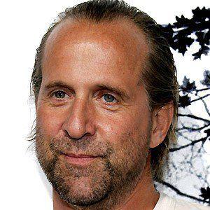 Peter Stormare Death Fact Check, Birthday & Age | Dead or Kicking