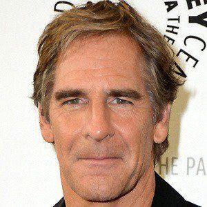 Scott Bakula Death Fact Check, Birthday & Age | Dead or Kicking