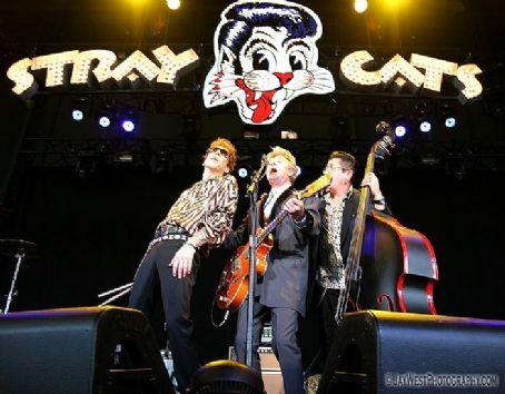 The Stray Cats Death Fact Check, Birthday & Age | Dead or Kicking